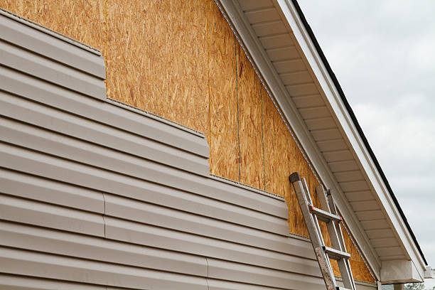 Professional Siding Repair technician working in Freeport, FL